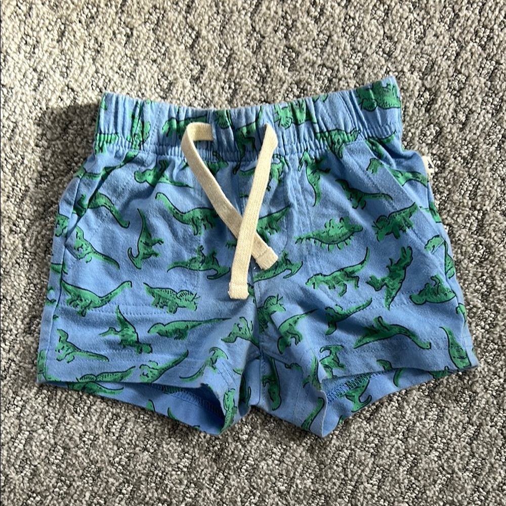 Blue Dinosaur Print Kids Shorts